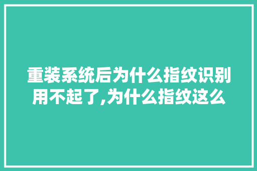 重装系统后为什么指纹识别用不起了,为什么指纹这么奇怪呢。