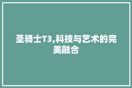 圣骑士T3,科技与艺术的完美融合