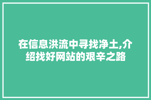 在信息洪流中寻找净土,介绍找好网站的艰辛之路 在信息洪流中寻找净土,介绍找好网站的艰辛之路 网站建设公司