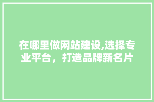 在哪里做网站建设,选择专业平台，打造品牌新名片 在哪里做网站建设,选择专业平台，打造品牌新名片 网站建设公司