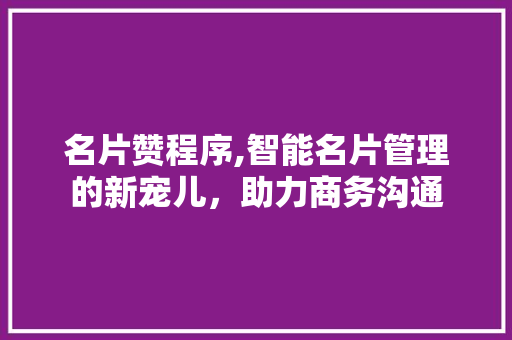 名片赞程序,智能名片管理的新宠儿，助力商务沟通 名片赞程序,智能名片管理的新宠儿，助力商务沟通 网站建设公司