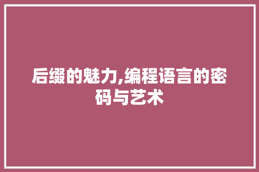 后缀的魅力,编程语言的密码与艺术