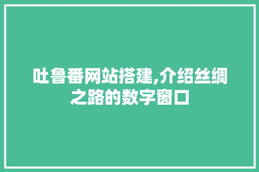 吐鲁番网站搭建,介绍丝绸之路的数字窗口 吐鲁番网站搭建,介绍丝绸之路的数字窗口 百度SEO