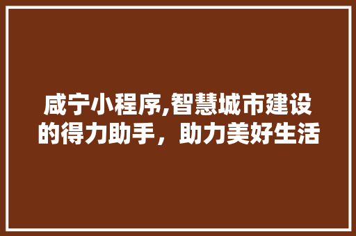 咸宁小程序,智慧城市建设的得力助手，助力美好生活新篇章