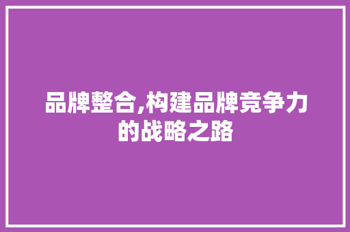 品牌整合,构建品牌竞争力的战略之路 品牌整合,构建品牌竞争力的战略之路 网站建设公司