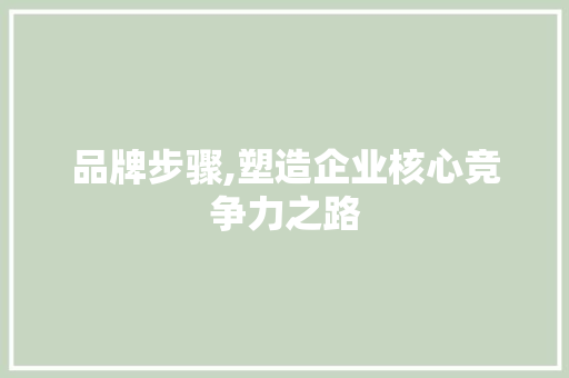 品牌步骤,塑造企业核心竞争力之路