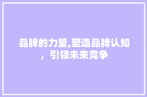 品牌的力量,塑造品牌认知，引领未来竞争
