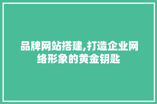 品牌网站搭建,打造企业网络形象的黄金钥匙