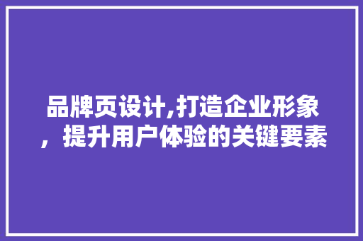 品牌页设计,打造企业形象，提升用户体验的关键要素