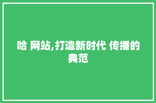 哈 网站,打造新时代 传播的典范