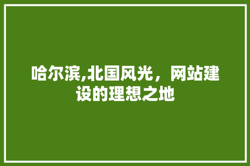 哈尔滨,北国风光，网站建设的理想之地