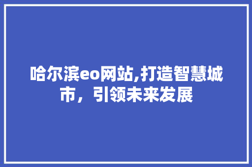 哈尔滨eo网站,打造智慧城市，引领未来发展