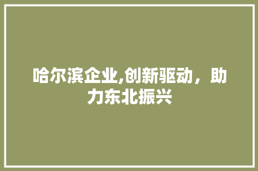 哈尔滨企业,创新驱动，助力东北振兴