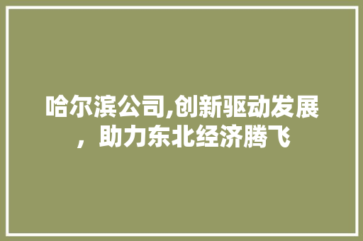 哈尔滨公司,创新驱动发展，助力东北经济腾飞