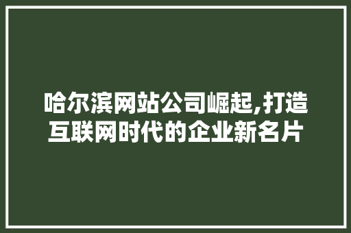 哈尔滨网站公司崛起,打造互联网时代的企业新名片