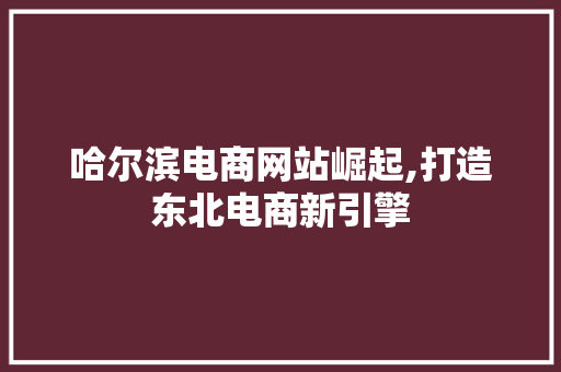 哈尔滨电商网站崛起,打造东北电商新引擎