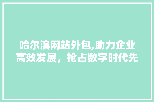 哈尔滨网站外包,助力企业高效发展，抢占数字时代先机