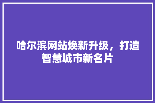哈尔滨网站焕新升级，打造智慧城市新名片