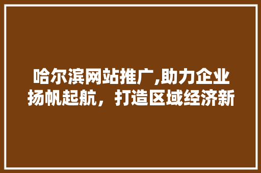 哈尔滨网站推广,助力企业扬帆起航，打造区域经济新引擎