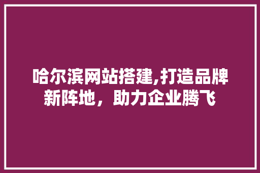 哈尔滨网站搭建,打造品牌新阵地，助力企业腾飞