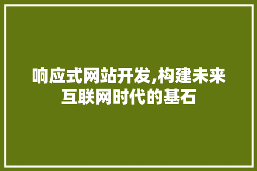 响应式网站开发,构建未来互联网时代的基石