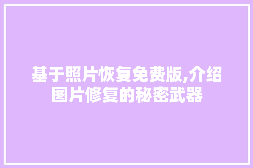 基于照片恢复免费版,介绍图片修复的秘密武器 基于照片恢复免费版,介绍图片修复的秘密武器 神马SEO