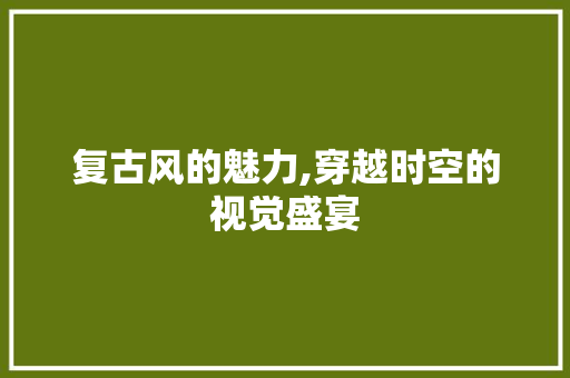 复古风的魅力,穿越时空的视觉盛宴 复古风的魅力,穿越时空的视觉盛宴 网站建设公司