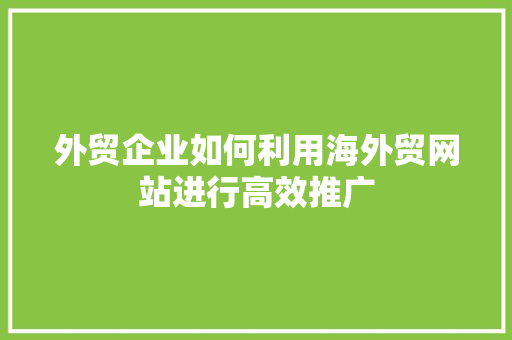 外贸企业如何利用海外贸网站进行高效推广