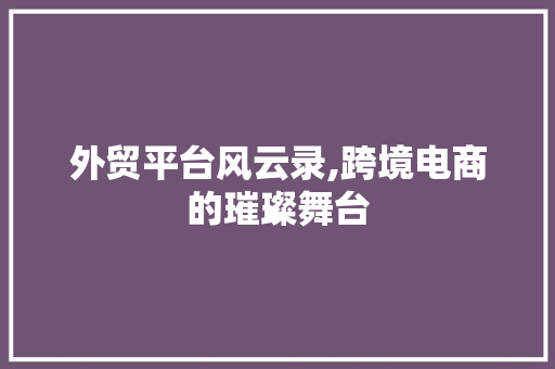 外贸平台风云录,跨境电商的璀璨舞台