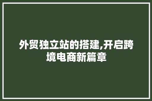 外贸独立站的搭建,开启跨境电商新篇章 外贸独立站的搭建,开启跨境电商新篇章 搜狗SEO