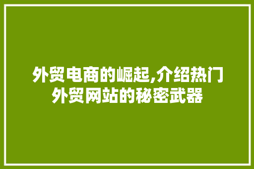外贸电商的崛起,介绍热门外贸网站的秘密武器 外贸电商的崛起,介绍热门外贸网站的秘密武器 神马SEO