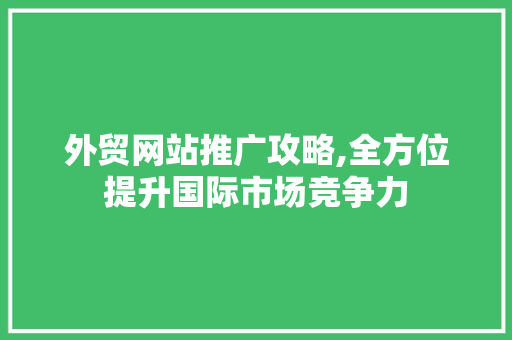 外贸网站推广攻略,全方位提升国际市场竞争力 外贸网站推广攻略,全方位提升国际市场竞争力 必应SEO