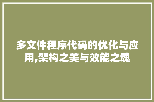 多文件程序代码的优化与应用,架构之美与效能之魂