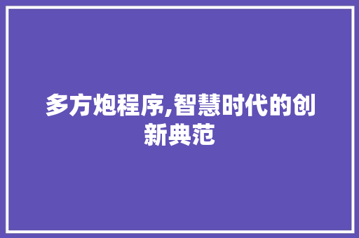 多方炮程序,智慧时代的创新典范