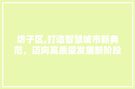 坊子区,打造智慧城市新典范，迈向高质量发展新阶段