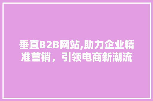 垂直B2B网站,助力企业精准营销，引领电商新潮流