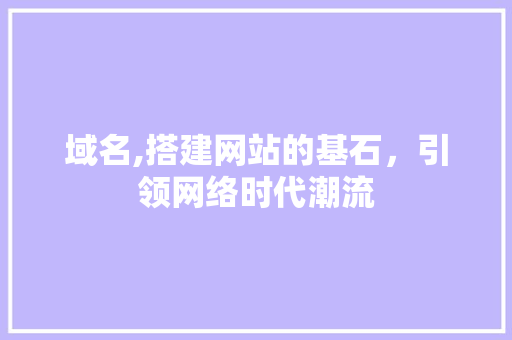 域名,搭建网站的基石，引领网络时代潮流 域名,搭建网站的基石，引领网络时代潮流 搜狗SEO