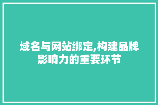 域名与网站绑定,构建品牌影响力的重要环节 域名与网站绑定,构建品牌影响力的重要环节 网站建设公司