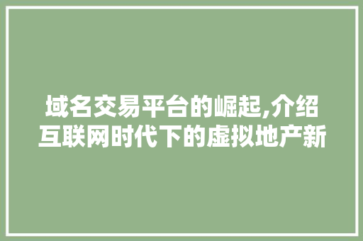 域名交易平台的崛起,介绍互联网时代下的虚拟地产新纪元