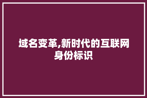 域名变革,新时代的互联网身份标识 域名变革,新时代的互联网身份标识 必应SEO