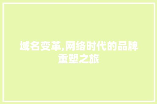 域名变革,网络时代的品牌重塑之旅 域名变革,网络时代的品牌重塑之旅 必应SEO