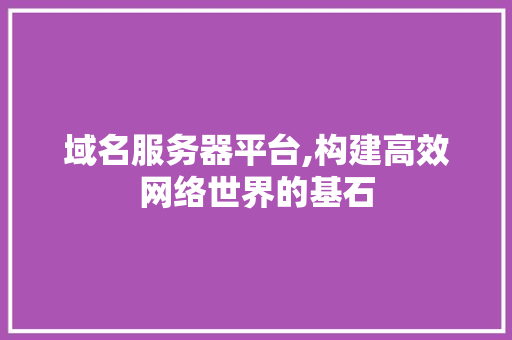 域名服务器平台,构建高效网络世界的基石 域名服务器平台,构建高效网络世界的基石 必应SEO
