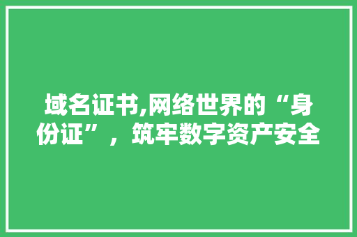 域名证书,网络世界的“身份证”，筑牢数字资产安全防线 域名证书,网络世界的“身份证”，筑牢数字资产安全防线 搜狗SEO
