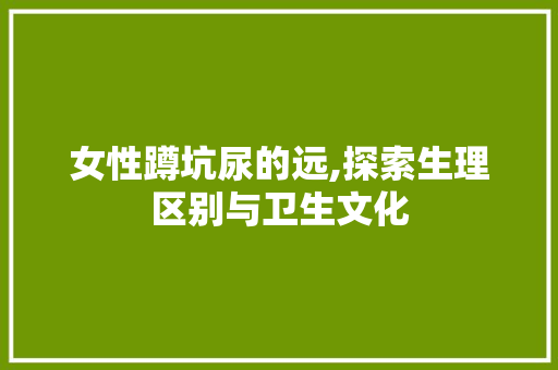 女性蹲坑尿的远,探索生理区别与卫生文化 女性蹲坑尿的远,探索生理区别与卫生文化 必应SEO