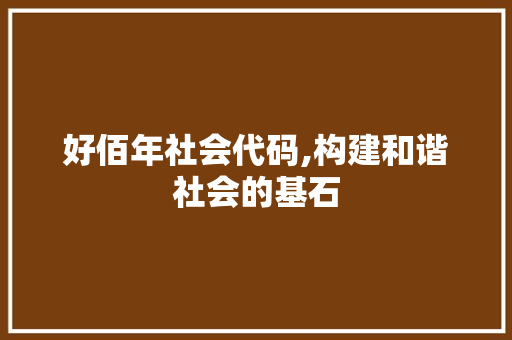 好佰年社会代码,构建和谐社会的基石