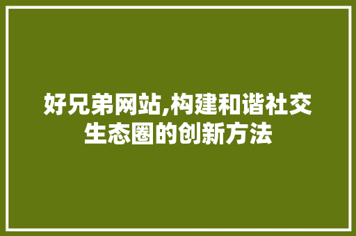 好兄弟网站,构建和谐社交生态圈的创新方法