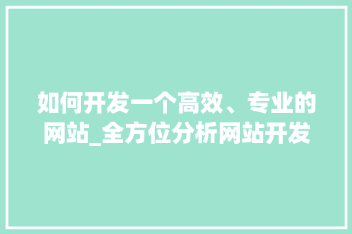 如何开发一个高效、专业的网站_全方位分析网站开发全过程 如何开发一个高效、专业的网站_全方位分析网站开发全过程 百度SEO