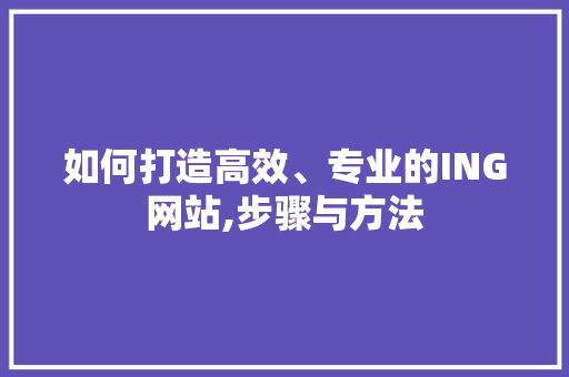 如何打造高效、专业的ING网站,步骤与方法 如何打造高效、专业的ING网站,步骤与方法 SEO关键词