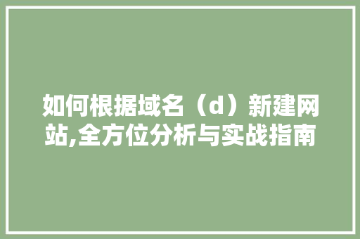 如何根据域名（d）新建网站,全方位分析与实战指南