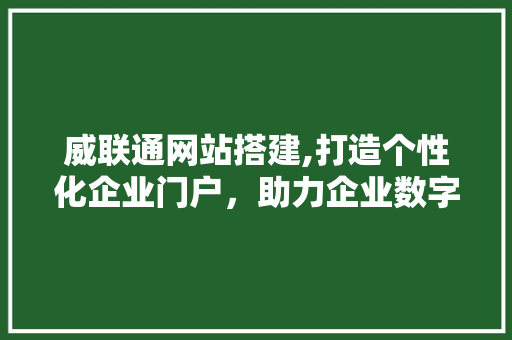 威联通网站搭建,打造个性化企业门户，助力企业数字化转型 威联通网站搭建,打造个性化企业门户，助力企业数字化转型 百度SEO
